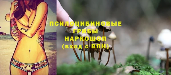jwh Вяземский