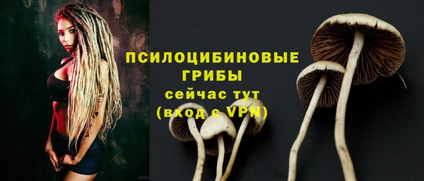 трава Волоколамск
