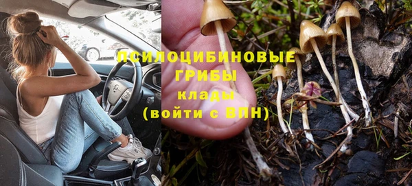 трава Волоколамск