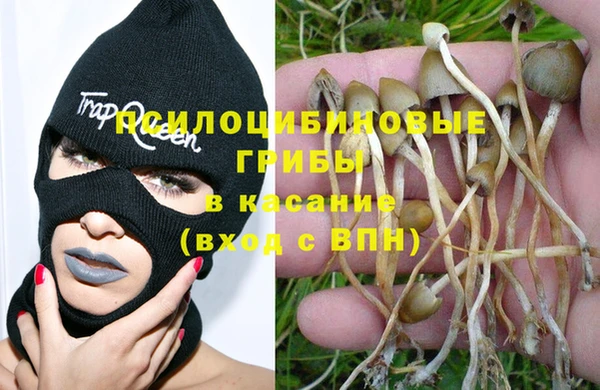 mdpv Вязники